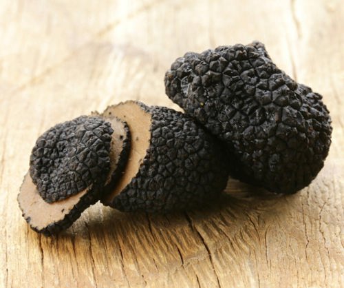 Black Truffle