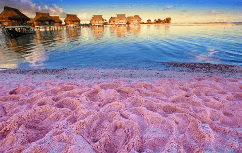 Pink Sands Beach