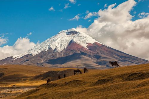 Mount Cotopaxi