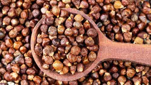 Grains of Paradise
