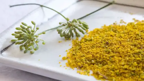 Fennel Pollen