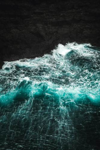 The Bioluminescent Waves