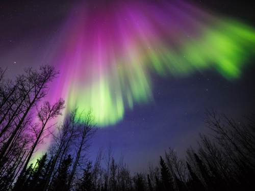 Purple Aurora Borealis