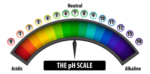 PH Scale